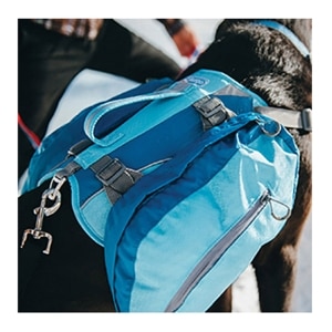 Baxter Dog Backpack - Coastal Blue
