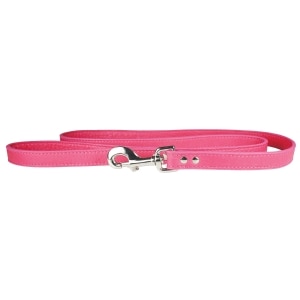 Luxe Leashes 1/2in Pink