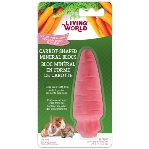 Carrot-Shaped Mineral Block for Small Animals
