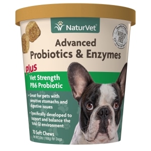 Advanced Probiotics & Enzymes Soft Chews for Dogs