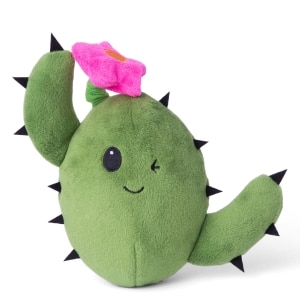 Consuela the Cactus Dog Toy