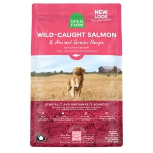 Wild-Caught Salmon & Ancient Grains Recipe Dog Food