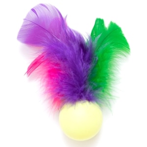 Feather Pong Cat Toy