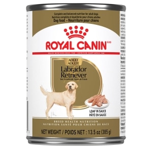 Labrador Retriever Loaf In Sauce Adult Dog Food
