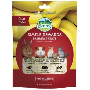 Simple Rewards Banana Treats for Small Animals