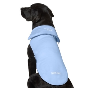 Weighted Blue Calming Vest