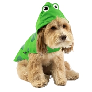 Frog Print Green Raincoat