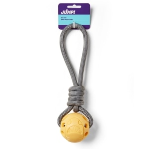 Ball on a Rope Yellow Dog Toy