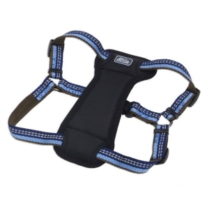 K9 Explorer Reflective Adjustable Padded Dog Harness Sapphire Blue