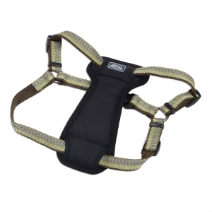 Reflective Step-in Padded Dog Harness - Fern