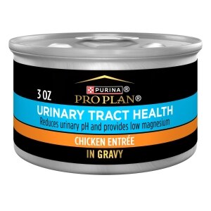 Specialized Urinary Tract Health Chicken Entree Adult Cat Food
