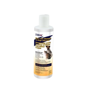 Flea & Tick Shampoo for Dogs & Cats