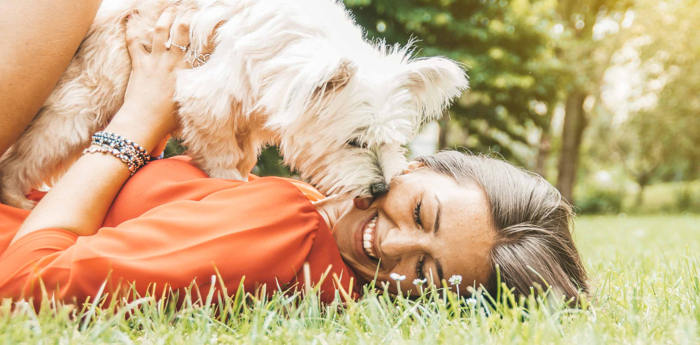 Woman cuddling with small dog on lawn