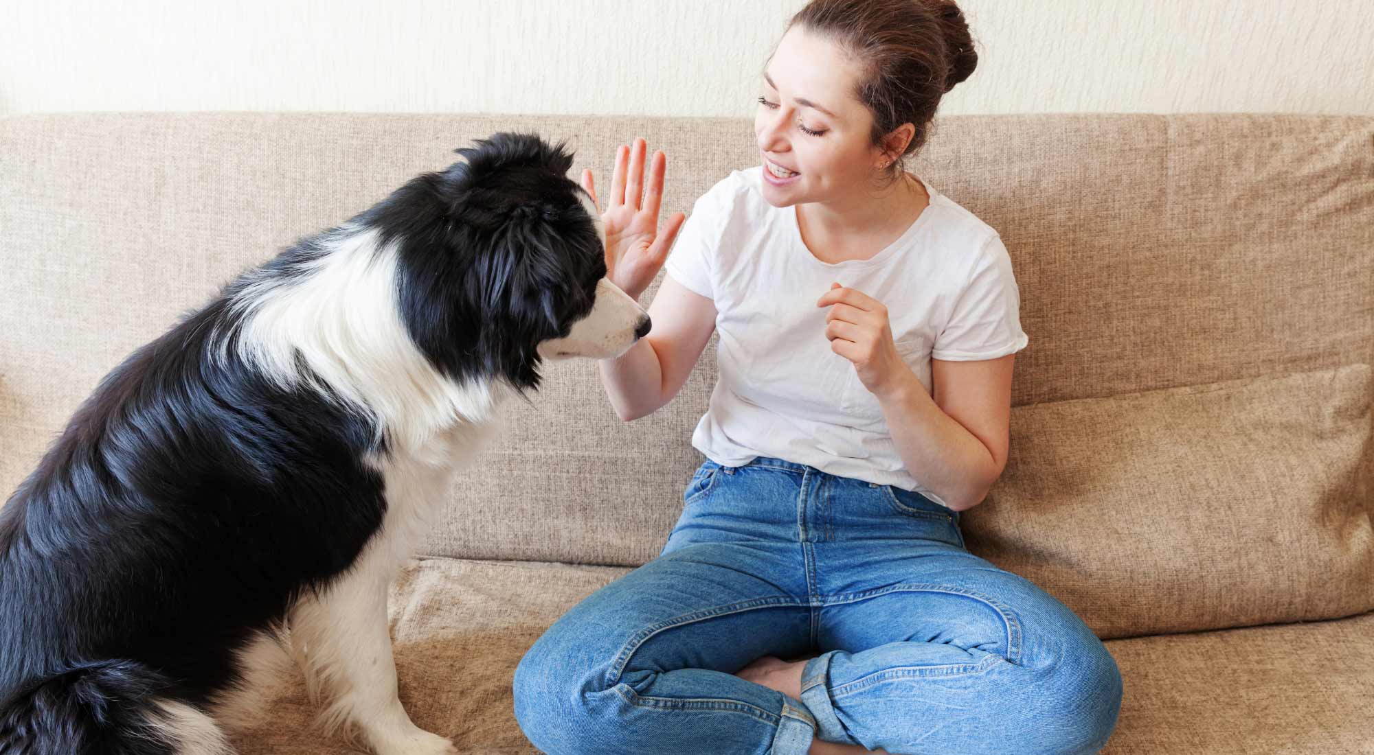 woman on couch training dog to leave it