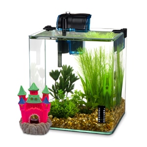 Aqueon Edgelit Rimless Cube Glass Aquarium - Pet Valu